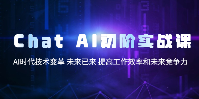 （5610期）Chat AI初阶实战课，AI时代技术变革 未来已来 提高工作效率和未来竞争力-阿宵项目网